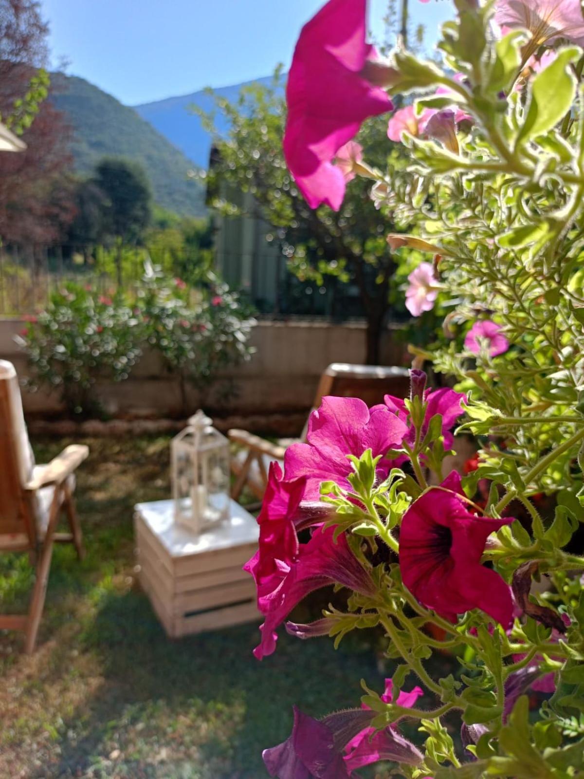 La Civetta Appartamento Con Giardino E Parcheggio Nave  Eksteriør billede